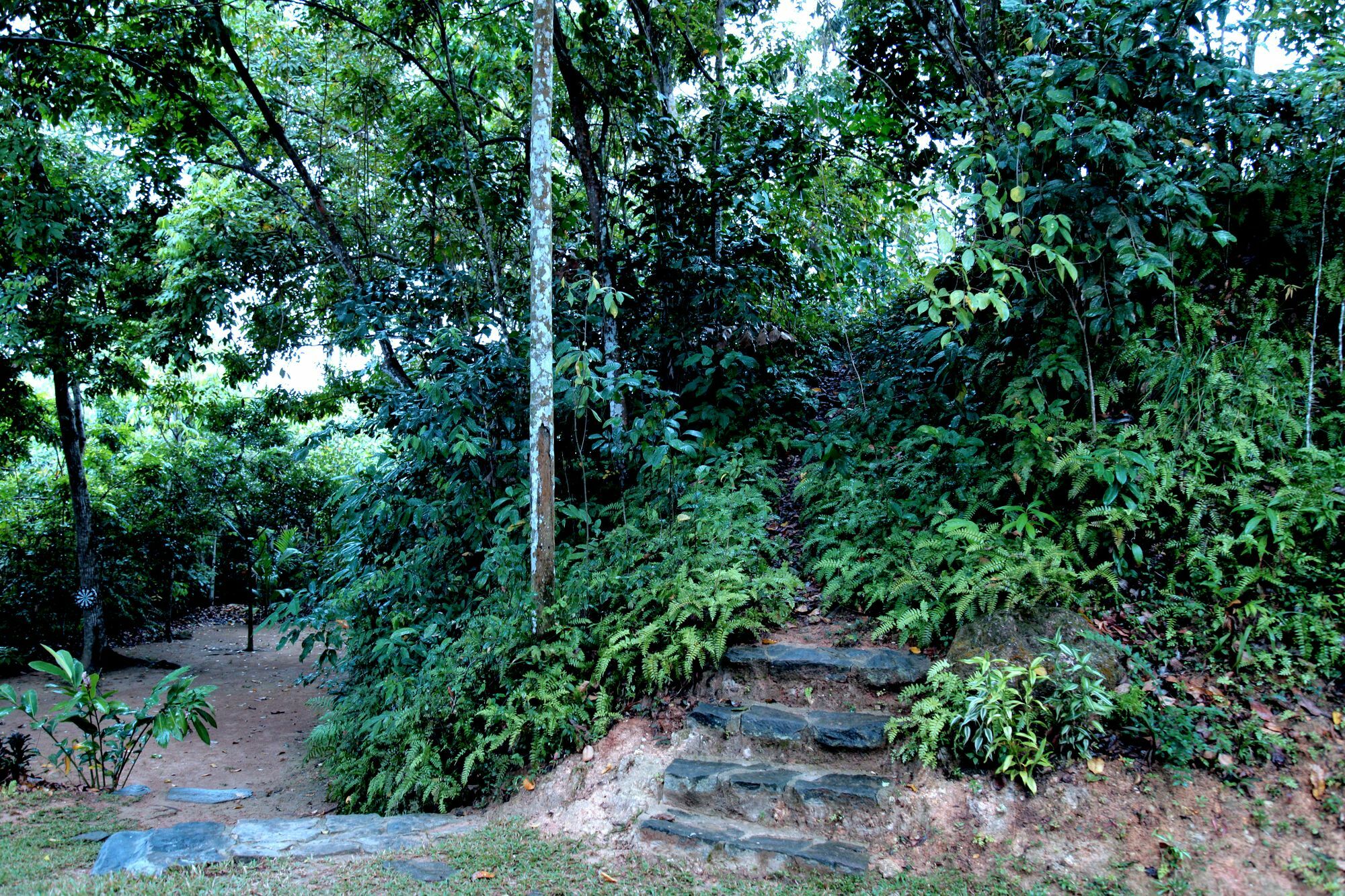 Ceylon Olive Galle Exterior foto