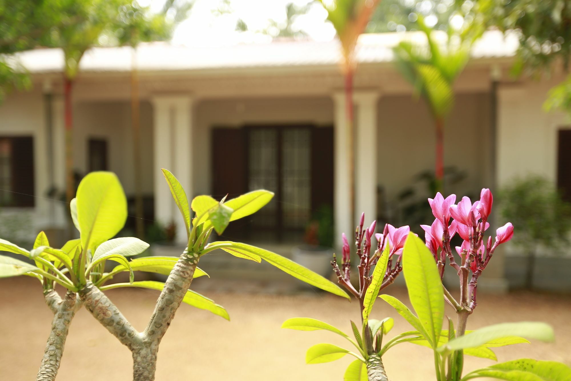 Ceylon Olive Galle Exterior foto