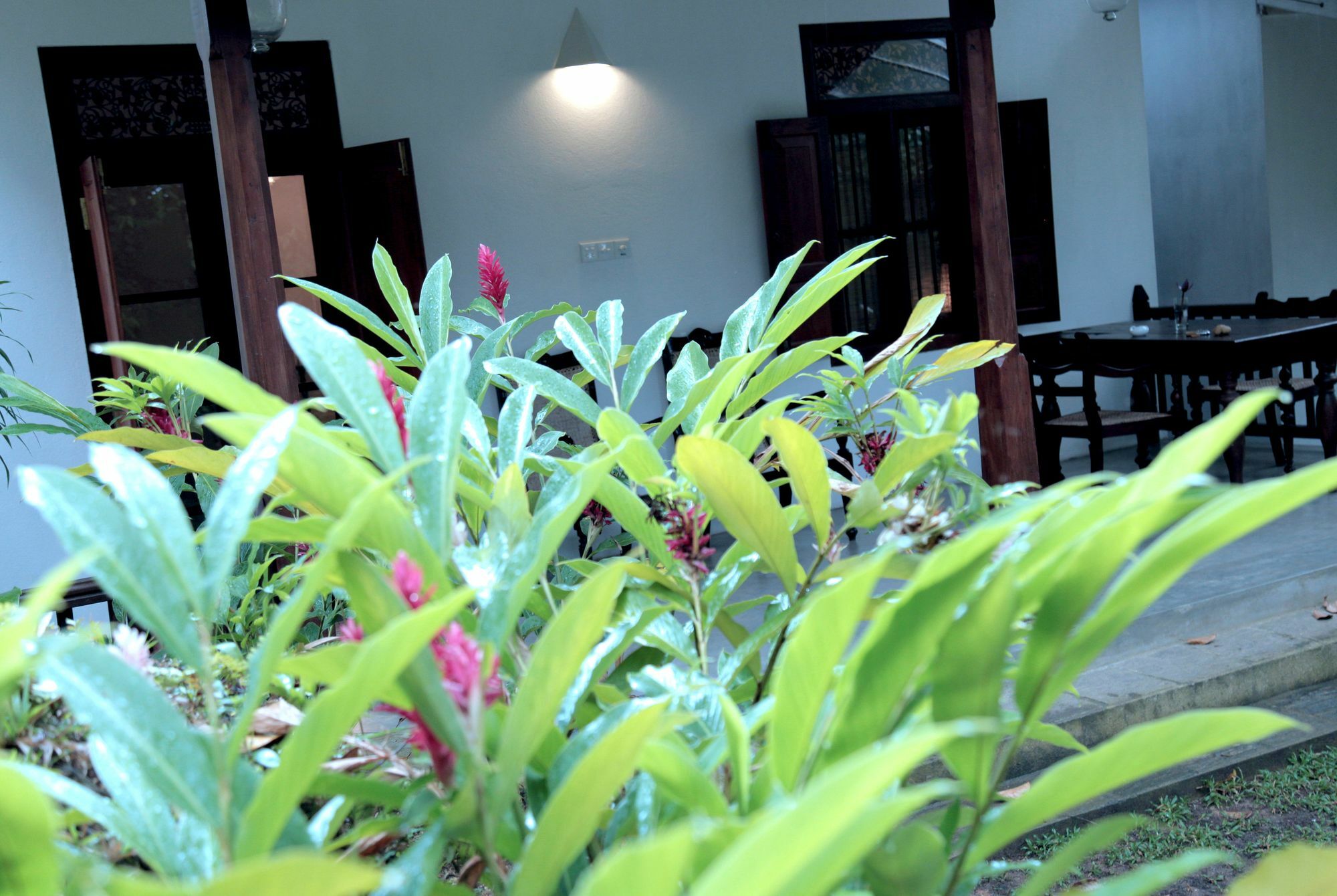 Ceylon Olive Galle Exterior foto